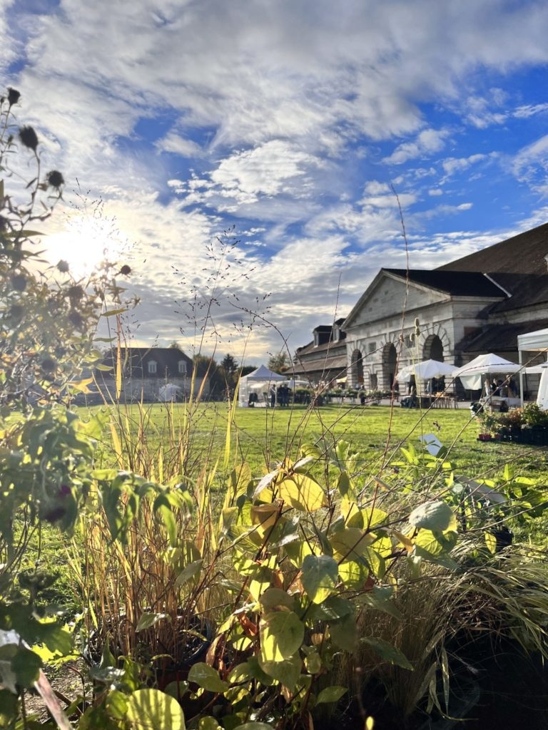 Foire aux plantes