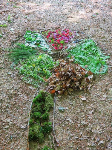 Balades et jeux dans la nature