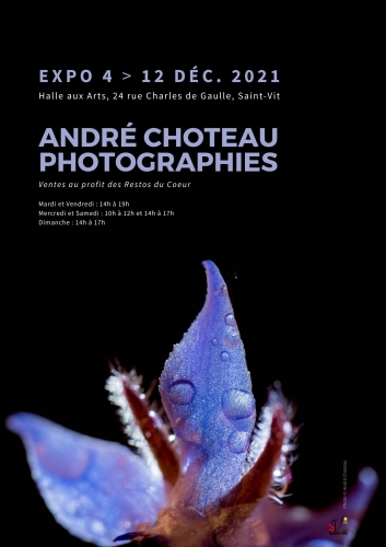 Exposition de photographies 