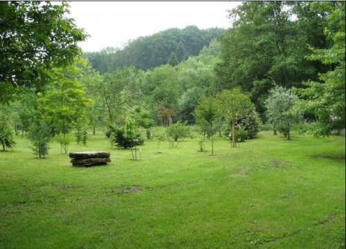 ARBORETUM DE LA CUDE